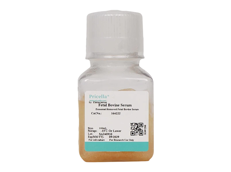 Exosomal Removed Fetal Bovine Serum
