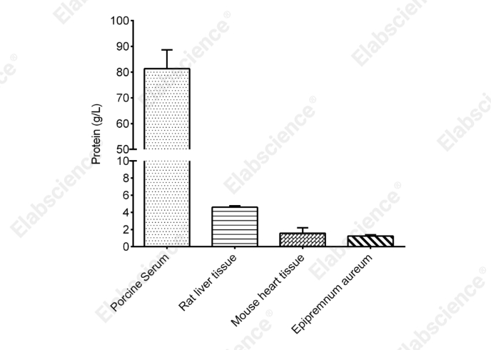 Biuret Protein Colorimetric Assay Kit - 2