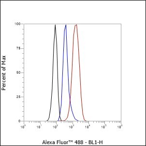 Recombinant Rab7 Monoclonal Antibody - small - 2