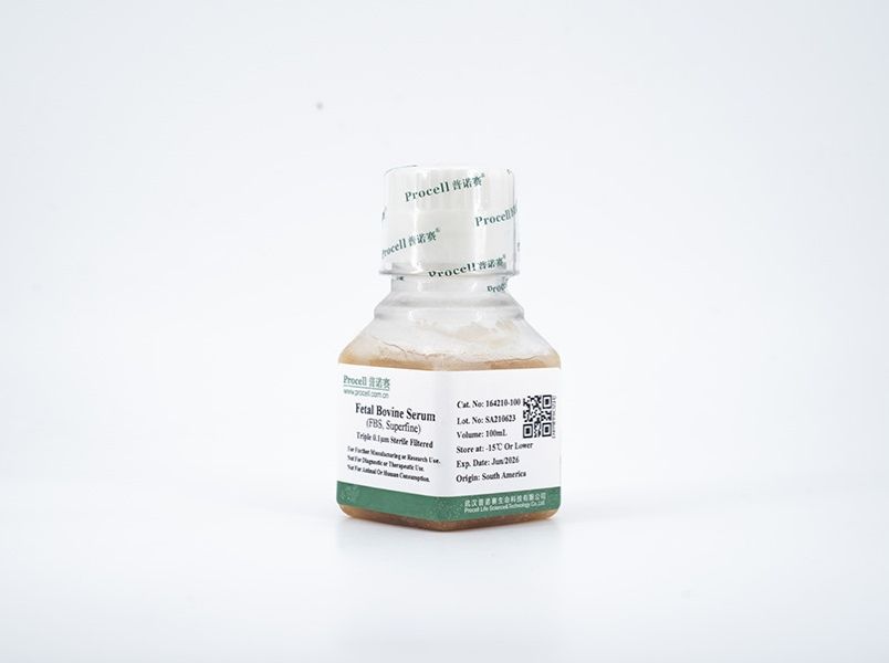 https://789.bio/ec/80xa5K