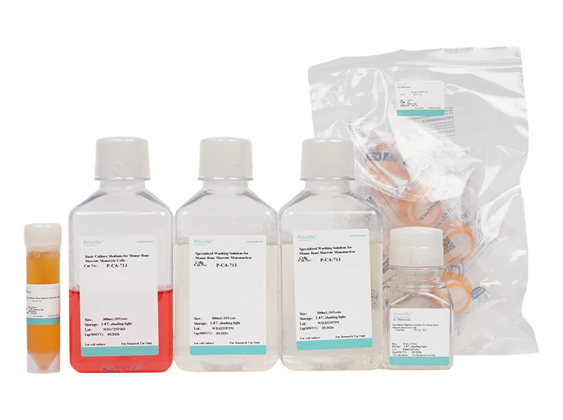 Mouse Bone Marrow Mononuclear Cells Isolation and Culture Kit - small - 2