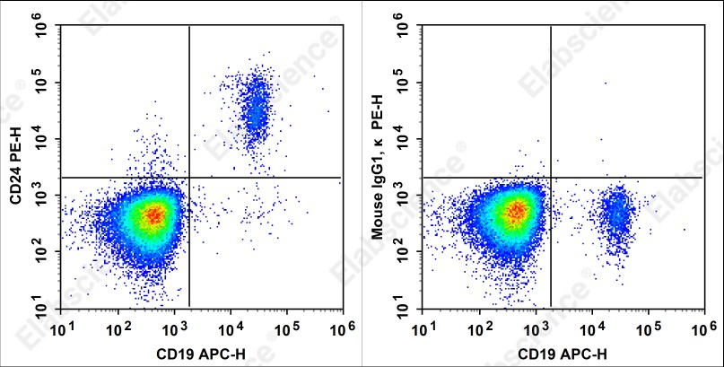 PE Anti-Human CD24 Antibody[SN3] - 1