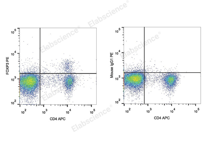 PE Anti-Mouse Foxp3 Antibody[3G3]-1