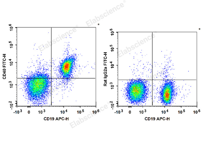 AF/LE Purified Anti-Mouse Ly6C Antibody[Monts 1]-产品推荐-1