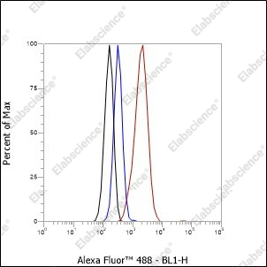 Recombinant TROP2 Monoclonal Antibody - 6