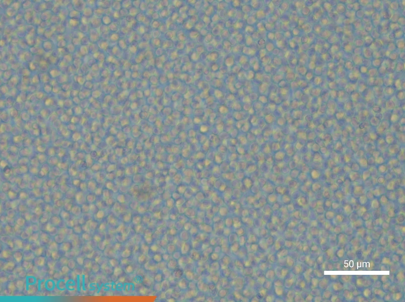 ML-2 Cell Complete MediumML-2 Cell Complete Medium - 5
