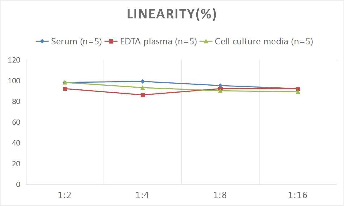 Human IL18BP(Interleukin 18 Binding Protein) ELISA Kit - small - 2