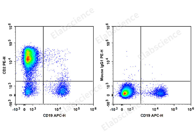 Human peripheral blood lymphocytes are stained with APC Anti-human CD19 Antibody and PE Anti-Human CD2 Antibody[RPA-2.10] (Left). Lymphocytes are stained with APC Anti-human CD19 Antibody and PE Mouse IgG1, κ Isotype Control (Right).