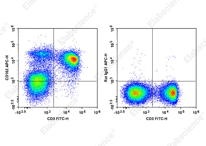 APC Anti-Mouse CD162 Antibody[4RA10]-1