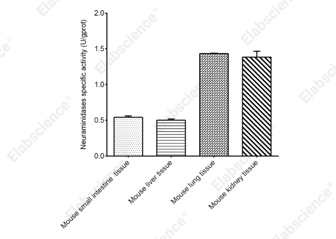 Neuraminidase (NA) Activity Fluorometric Assay Kit - 2