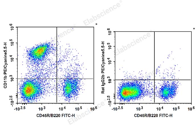 PE/Cyanine5.5 Anti-Mouse/Human CD11b Antibody[M1/70]-1