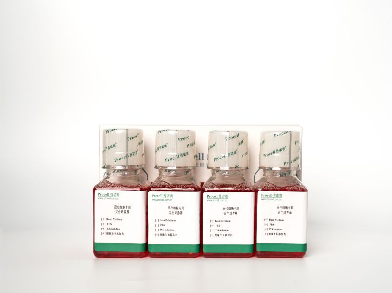 https://789.bio/ec/8Rle14