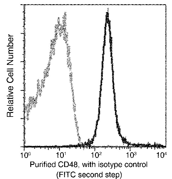 Recombinant CD48/SLAMF2 Monoclonal Antibody - small - 2