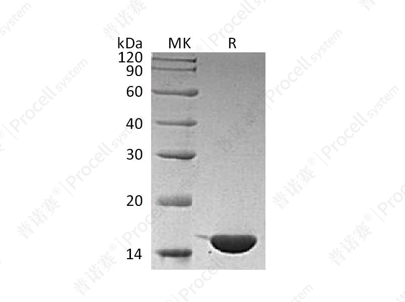 https://789.bio/ec/8V5x90