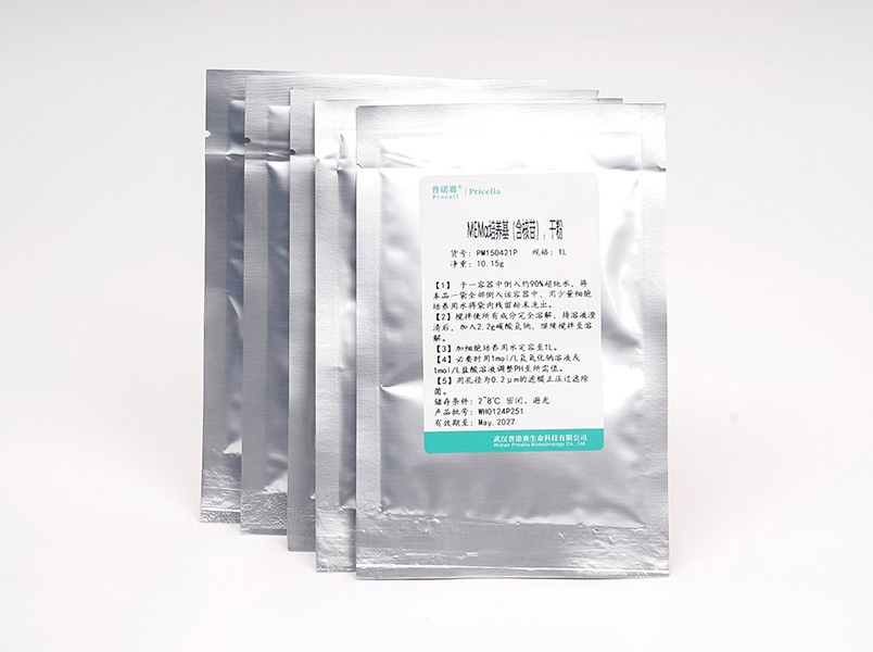 https://789.bio/ec/8VePKC
