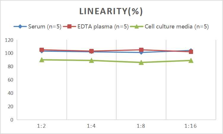 Mini Sample Human EGF (Epidermal Growth Factor) ELISA Kit - 2