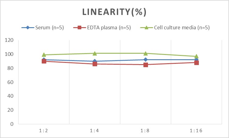 High Sensitivity Rat IL-1β(Interleukin 1 Beta) ELISA Kit-1