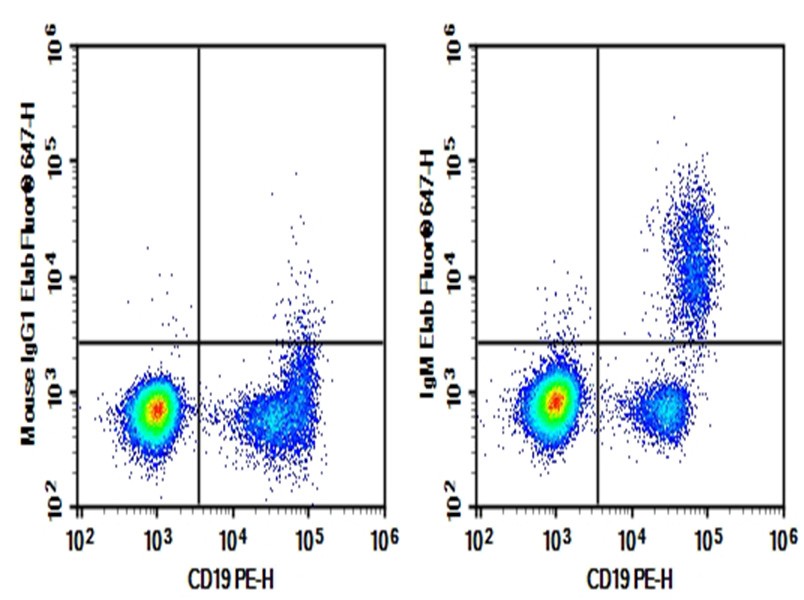 Purified Anti-Human IgM Antibody[MHM-88]-1