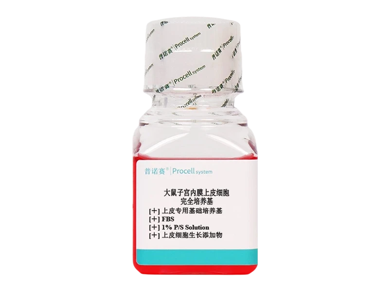 https://789.bio/ec/8ZWyz0YZ