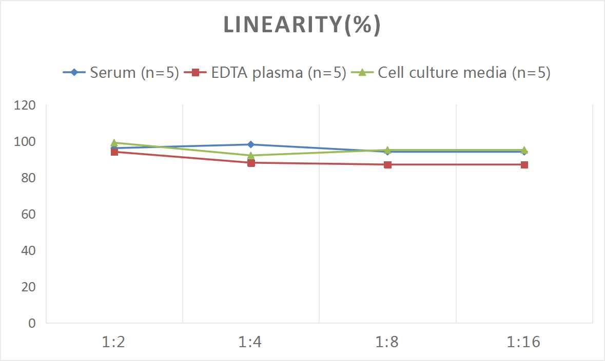 Human SCG3(Secretogranin Ⅲ) ELISA Kit  - 2