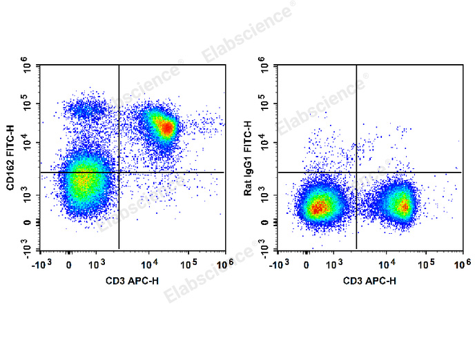 C57BL/6 murine splenocytes are stained with APC Anti-Mouse CD3 Antibody and FITC Anti-Mouse CD162 Antibody (Left). Splenocytes are stained with APC Anti-Mouse CD3 Antibody and FITC Rat IgG1 Isotype Control (Right).