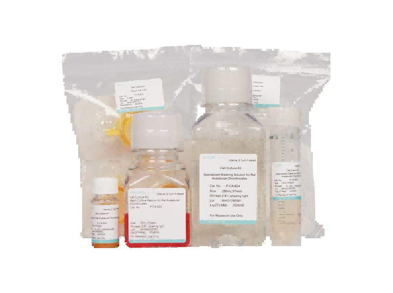 Rat Acetabular Chondrocyte Isolation and Culture Kit
