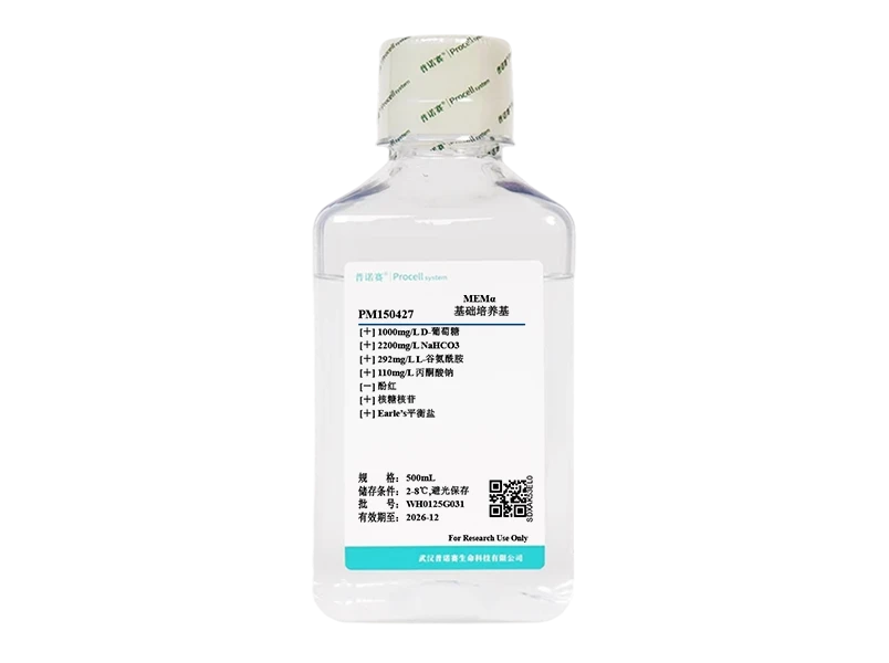https://789.bio/ec/8cINIq3e