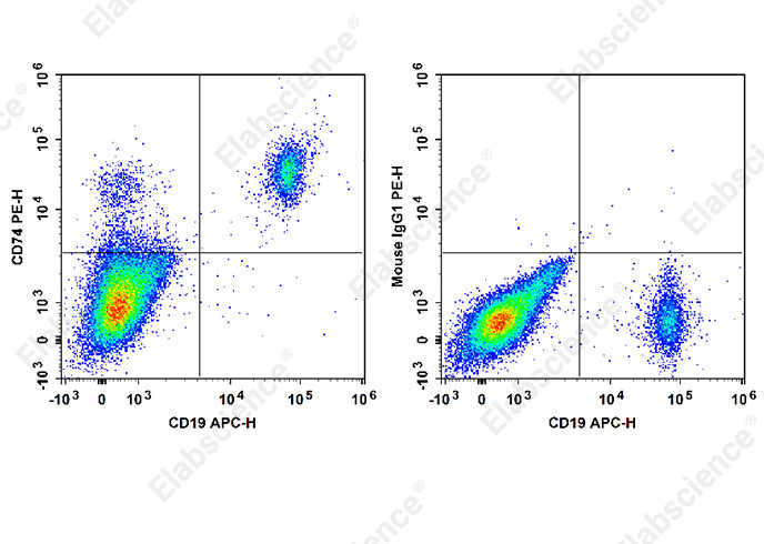PE Anti-Human CD74 Antibody[LL1]-1
