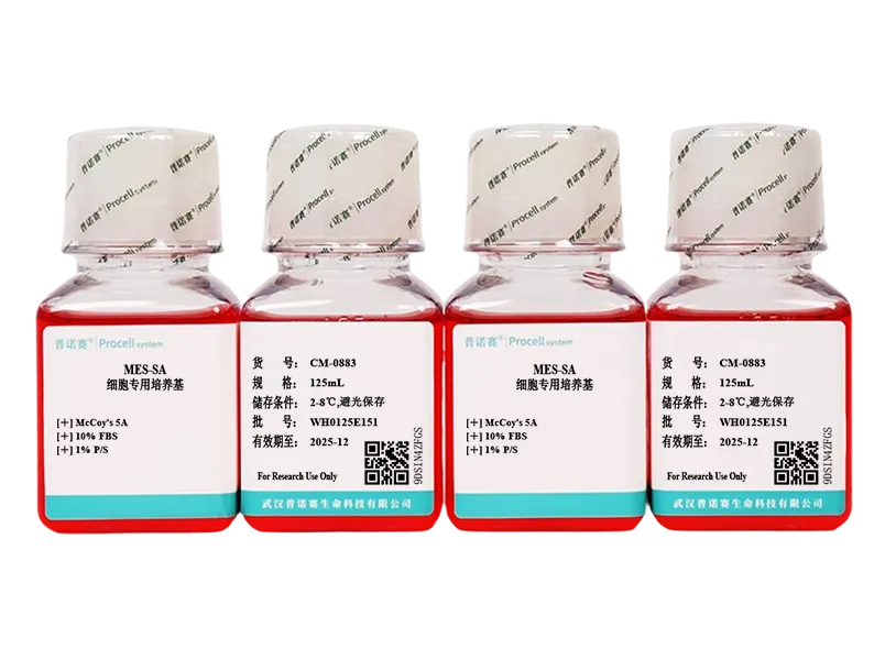 https://789.bio/ec/8f97ub0W