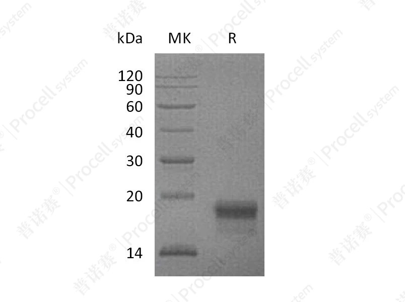 https://789.bio/ec/8hLp98
