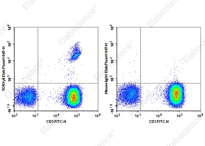 Purified Anti-Mouse CD31 Antibody[390]-产品推荐-1