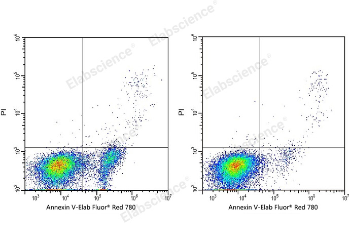 Annexin V-Elab Fluor® Red 780/PI Apoptosis Kit-1