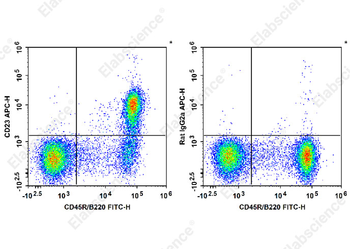 APC Anti-Mouse CD23 Antibody[B3B4]-1