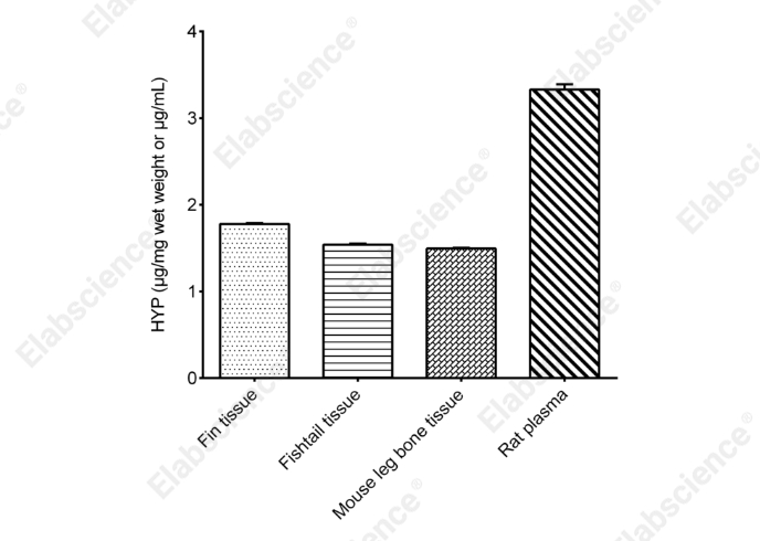 Hydroxyproline (HYP) Colorimetric Assay Kit (Alkali Hydrolysis Method) - 2