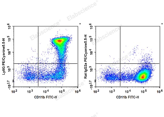 C57BL/6 murine bone marrow cells are stained with FITC Anti-Mouse/Human CD11b Antibody and PE/Cyanine5.5 Anti-Mouse Ly6G Antibody (Left). Bone marrow cells are stained with FITC Anti-Mouse/Human CD11b Antibody and PE/Cyanine5.5 Rat IgG2a, κ Isotype Control (Right).