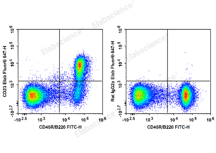 C57BL/6 murine splenocytes are stained with FITC Anti-Mouse CD45R/B220 Antibody and Elab Fluor® 647 Anti-Mouse CD23 Antibody (Left). Splenocytes are stained with FITC Anti-Mouse CD45R/B220 Antibody and Elab Fluor® 647 Rat IgG2a, κ Isotype Control[2A3] (Right).