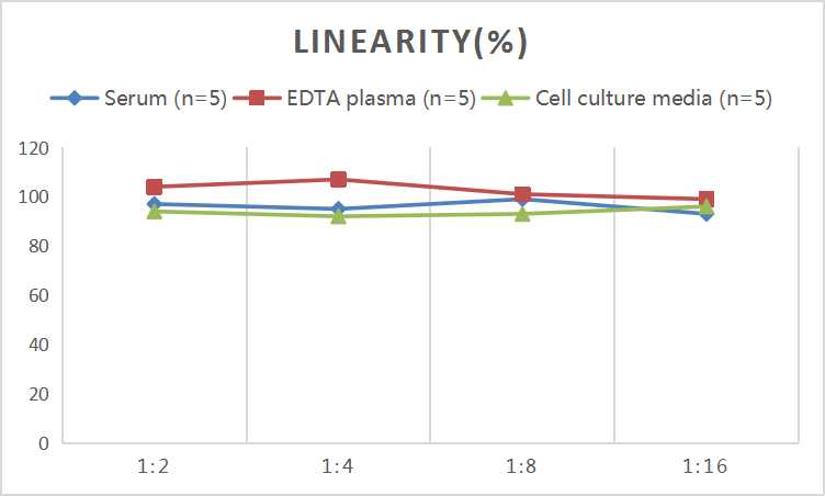Mini Sample Human ESM1 (Endothelial Cell Specific Molecule 1) ELISA Kit - small - 2