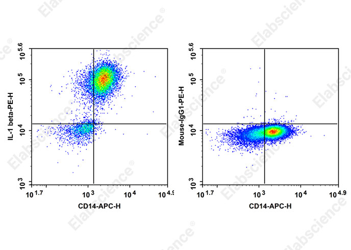 PE Anti-Human IL-1 beta Antibody[CRM56]-1