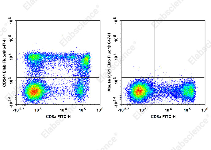 Elab Fluor® 647 Anti-Human CD244 Antibody[C1.7]-1