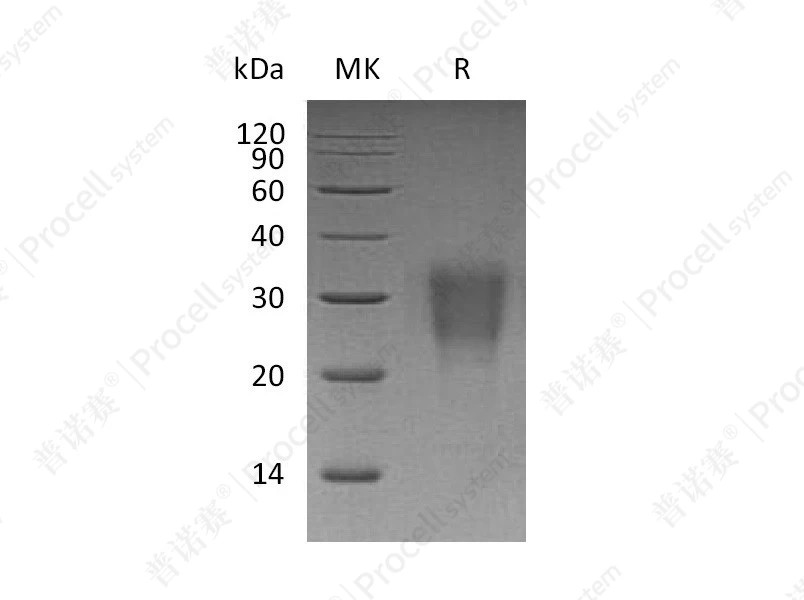 https://789.bio/ec/8l1dm5