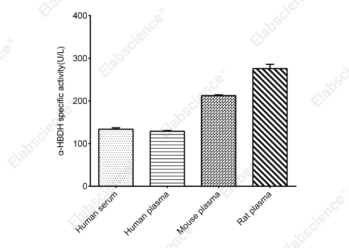 α-Hydroxybutyrate Dehydrogenase (α-HBDH) Activity Colorimetric Assay Kit - 1