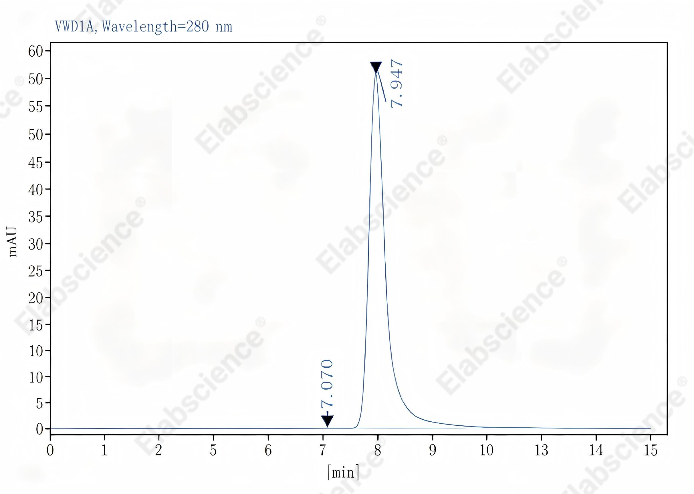 Purified Anti-Mouse TNF-α Antibody[TN3-19.12], Functional Grade - 2