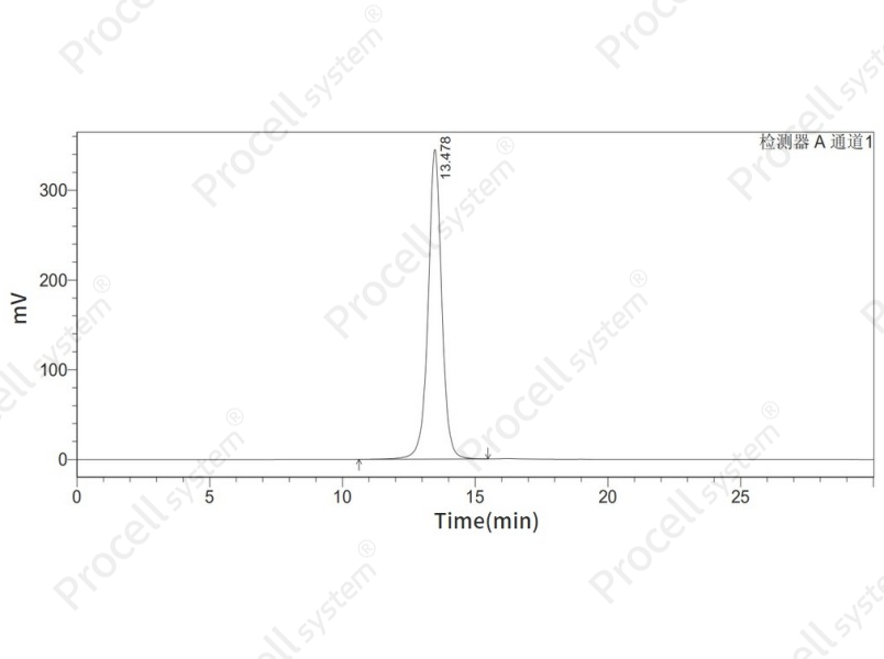 IL-2RB/CD122 (C-6His), Human, Recombinant