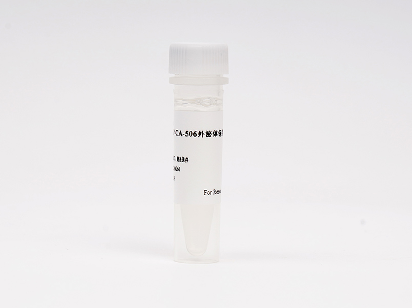 https://789.bio/ec/8tqWDR