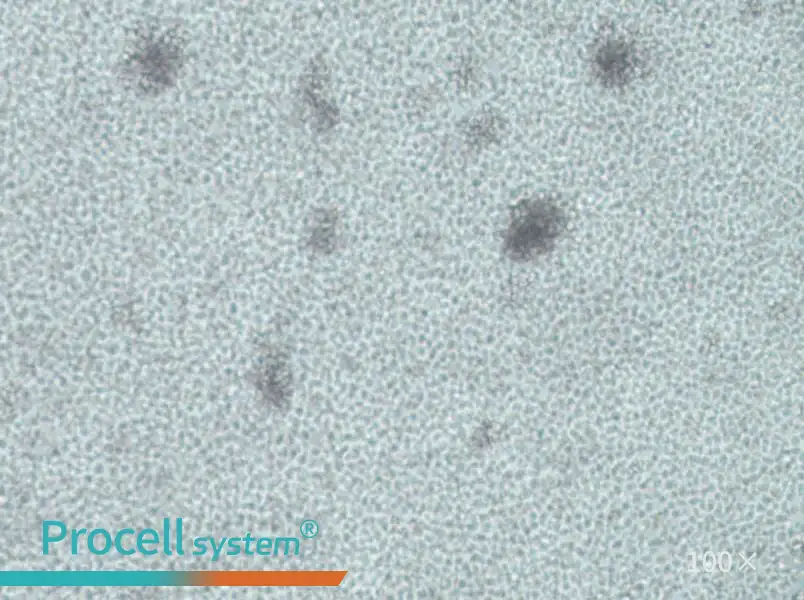 IM-9 Cell Complete Medium - 2