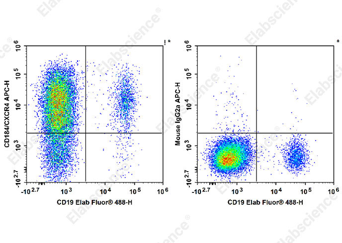 AF/LE Purified Anti-Human CD105 Antibody[SN6]-产品推荐-1