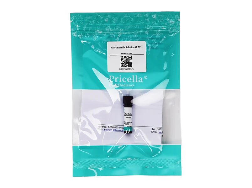 https://789.bio/ec/8xWP0O