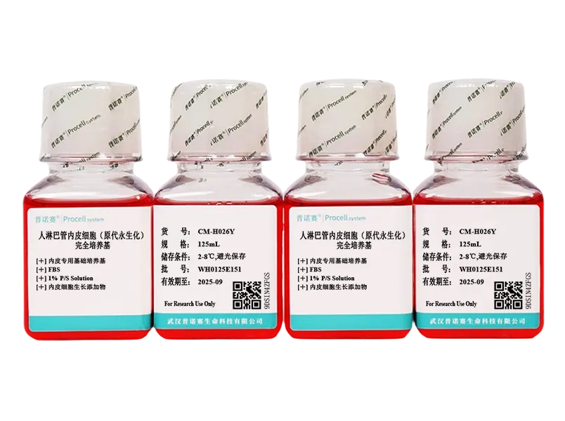 https://789.bio/ec/90CVr7ap