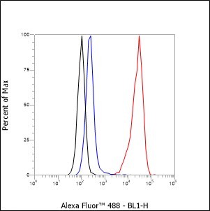 Recombinant TCL1 Monoclonal Antibody - small - 7