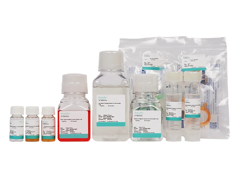Rat Kupffer Cells Isolation and Culture Kit - small - 2